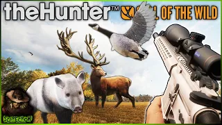 BIG Diamonds & Rares Get Smoked By A BIG .308 AR-10! ( First Leucistic Javalina) Call of the wild