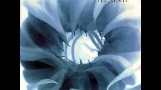 Morphine - The Night [alternate version]