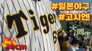 【일본 야구⚾️】 한신 고시엔구장 | 2023.06.17 | 한신 타이거스🐯 | 효고현 니시노미야 | 일본 고교야구의 성지 | 인터리그(交流戦)