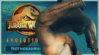 New Underwater Social Animation! | Animations, Kills, Skins & More | Nothosaurus Showcase