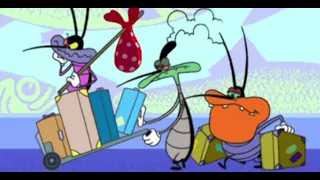 हिंदी Oggy and the Cockroaches 😨 चलती 🧳 Hindi Cartoons for Kids
