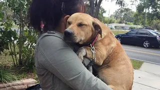 When hugs is the way animals showing love to you  - Cutest Animals Video 2023