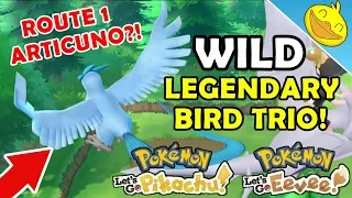 How to Catch ARTICUNO, ZAPDOS & MOLTRES In the WILD! Pokemon Let's Go P/E Guide!