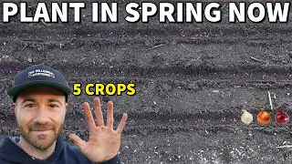 5 Veggies You'd Be CRAZY Not To Plant In Spring!