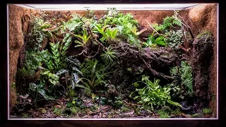 My 180 Gallon Vivarium is Taking Shape