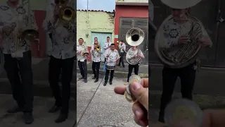 Esta Banda Toca Canciónes de $20 😮😮😮🎶