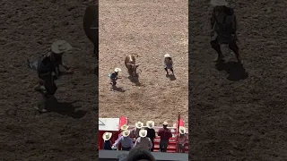 Rodeo clowns saving bull riders #rodeo Cheyenne Frontier Days 🤠 Bull Riding clown video Cowboys