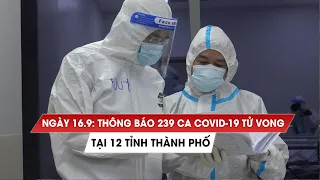 Ngày 16/9: Thông báo 239 ca Covid-19 tử vong tại 12 tỉnh thành