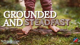 Grounded and Steadfast - Dr. Kevin Zadai