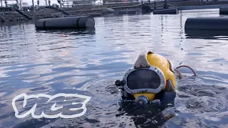 Meet A Professional Poo Diver