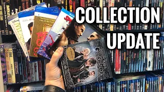 Collection Update | New 4K and Blu-ray Titles!