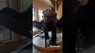 Toothless | How to train your dragon