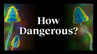 The real risks of psychedelics, explained by an expert | Dr. Matthew Johnson