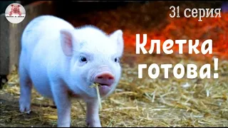 Миллион на свиньях.Новая клетка готова. Опоросы не за горами.