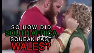 So how did South Africa squeak past Wales? | The Squidge Report