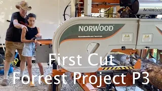 Forrest Project P3 - First Cut, How I Prevent Log End Checking & More . . .