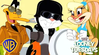 Looney Tunes en Latino | Furentes rebelles 😎 |  @WBKidsLatino