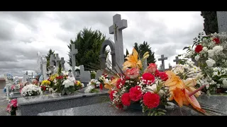 Es correcto llevar flores a un difunto? Padre Luis Toro.