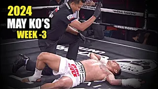 MMA & Boxing Knockouts I May 2024 Week 3