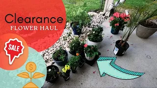 Spring Flower Clearance Haul | $1 Deals and $3 Palms