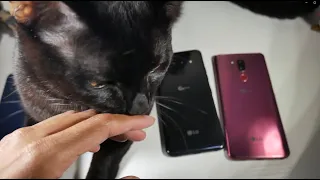 Why Are You Still Making LG Smartphone Videos..Why LG Phones Are Still Good In 2021!