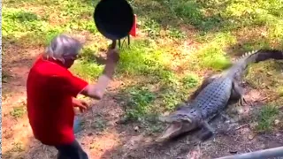 Brave old man attacks Alligator with Fry-Pan