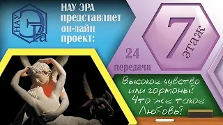 Высокое чувство или гормоны? Что же такое – Любовь? (Архив проекта #7этаж)