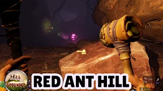 Grandma got Grounded! - EP13 Red Ant Hill Exploration