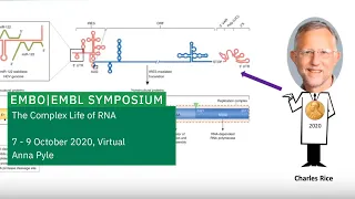 Keynote Lecture: Diversifying the function of a limited RNA genome