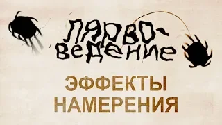 Лярвоведение Эффекты намерения