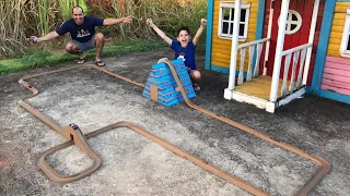 LUCAS E PAPAI BRINCAM COM PISTA DE PAPELÃO E CARRINHO HOT WHEELS