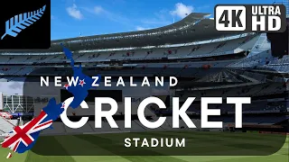 New Zealand's Largest Cricket Stadium | Top 50 Most Popular Cricketers of All Time
