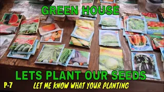 GREEN HOUSE P-7  (WE ARE PLANTING THE SEEDS)