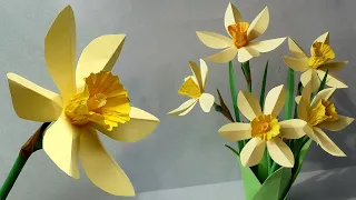 How to make a daffodil flower out of colored paper