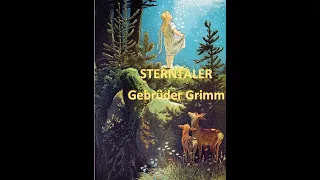 Sterntaler - Gebrüder Grimm +++ Mein Fazit #grimmsmärchen #Grimm #Märchen