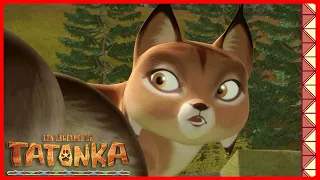 Le feu menace les loups | Tatonka | Dessins animés d'animaux