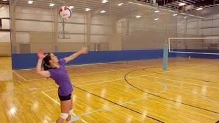 Serving Tips - Terry Liskevych - The Art of Coaching Volleyball