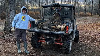 Trapping wild hogs on the club and huge beaver damming culverts