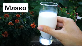 Мляко в градината