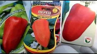 Лучшие сорта болгарского перца для фарширования!!