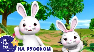 НОВАЯ СЕРИЯ | Кролики | Новые Песенки Для Детей и Малышей | Little Baby Bum Russian