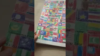 нарисовал все флаги мира #meme #capcut #world #flag