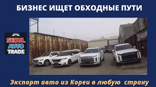 Авто из Кореи. HYUNDAI PALISADE, KIA CARNIVAL, GLE 300d. Непроходные авто. Бизнес ищет обходные пути