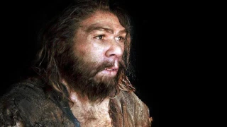 Александр Марков - Неандерталец высокой культуры и другие открытия палеонтологов