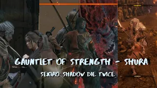 Sekiro | Gauntlet of Strength - Shura | NG+3