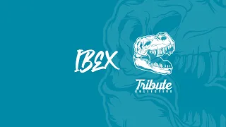 [SOLD]Boom Bap Type Beat | Hip Hop Instrumental "Ibex" 2022