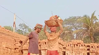 How They Produce Millions of Clay Bricks Hard Work in Massive Kiln