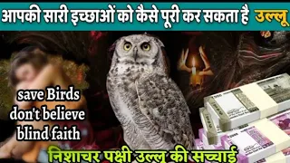 निशाचर तांत्रिक पक्षी उल्लू करोड़पति कैसे बना सकता है ? use of owl in black magic Truth