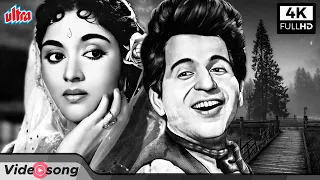 4K | दिल तड़प तड़प के कह रहा है आ | Dil Tadap Tadap Ke Kah Raha Classic Hindi Song | Vyjayanthimala