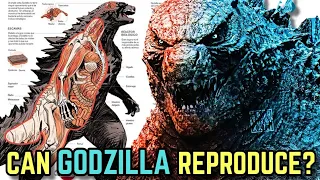 Godzilla Anatomy Explored - Can Godzilla Reproduce? How Much A Kaiju Like Him Poops?